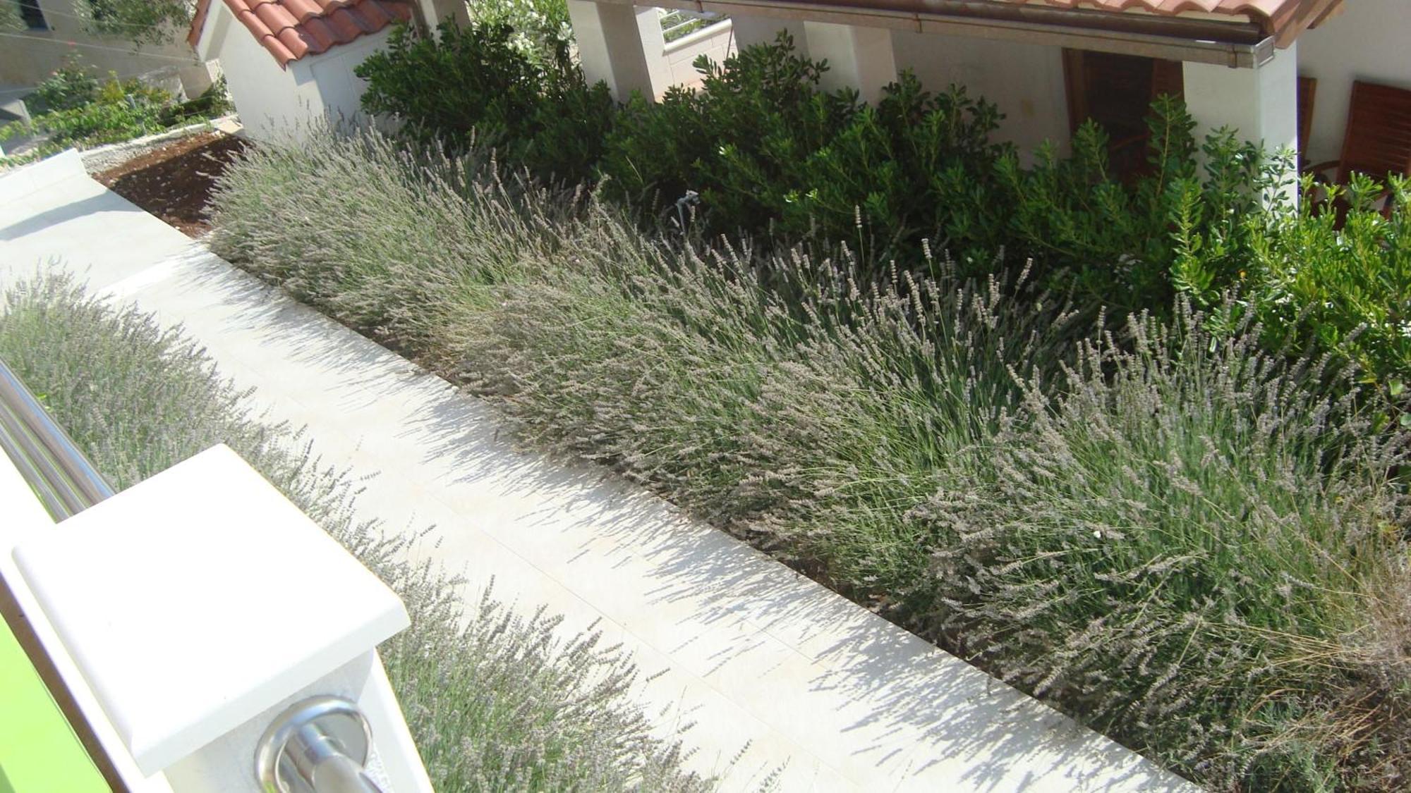 Donji Okrug  Apartments Niana With Heated Seawater Swimingpool מראה חיצוני תמונה