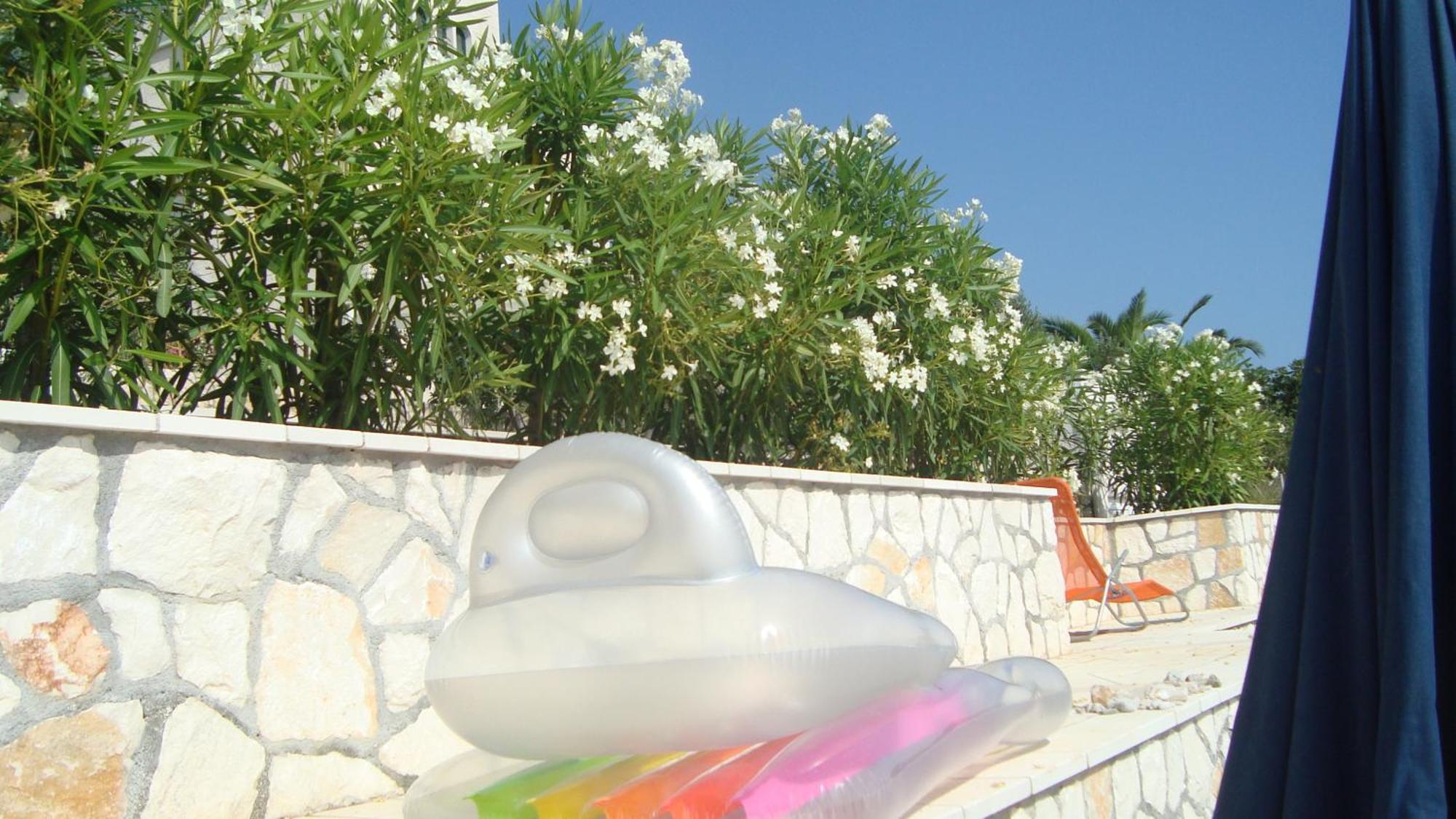Donji Okrug  Apartments Niana With Heated Seawater Swimingpool מראה חיצוני תמונה